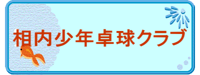 N싅Nu